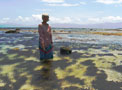 Seaweed Lady